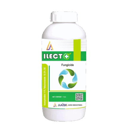 ILECT + (Azoxystrobin 11+Tebuconazole 18.3 Sc)